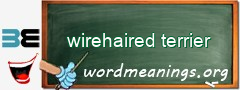 WordMeaning blackboard for wirehaired terrier